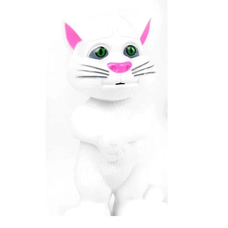 Talking Tom Cat Toy Pakistan | Electronic Music | Toygenix